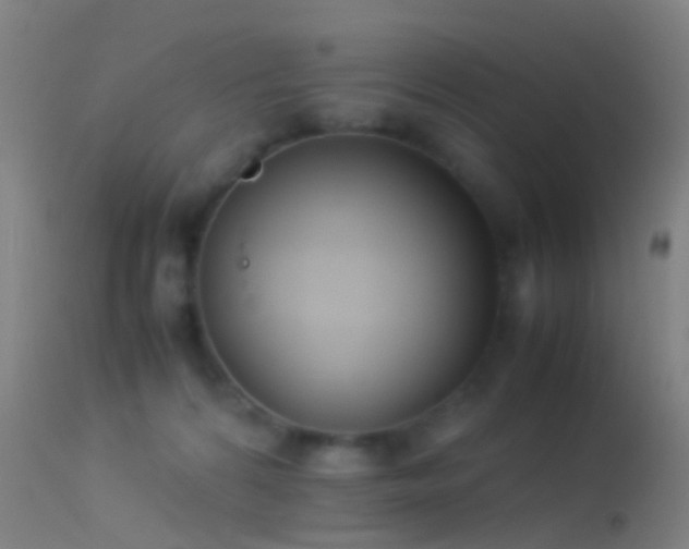 X0000114170224200910151644