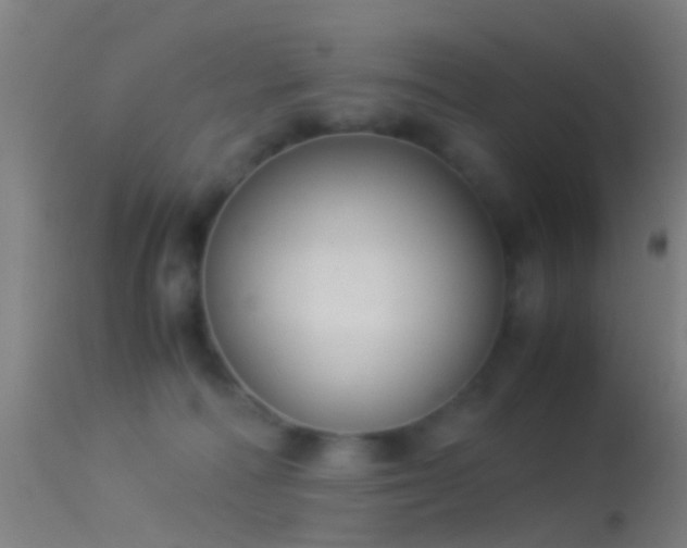 X0000114170226200910151644