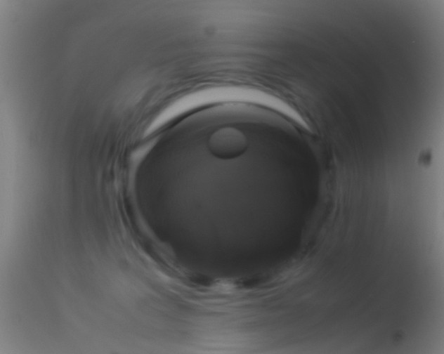 X0000114170227200910151644