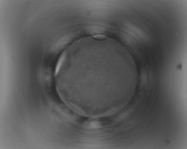 X0000114170228200910151644