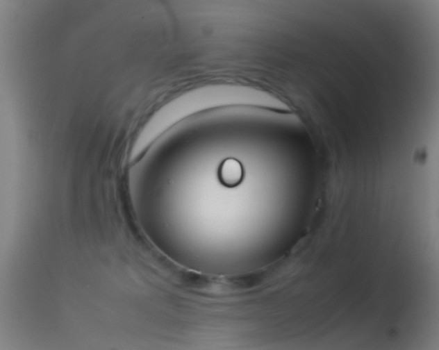 X0000114170229200910151644