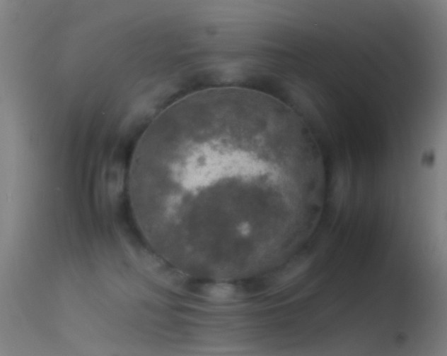 X0000114170230200910151644