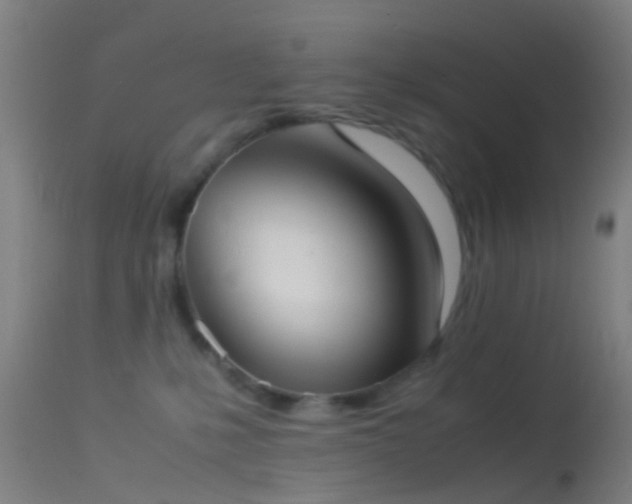 X0000114170231200910151644