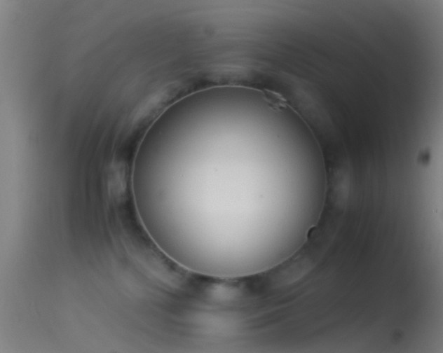 X0000114170232200910151644