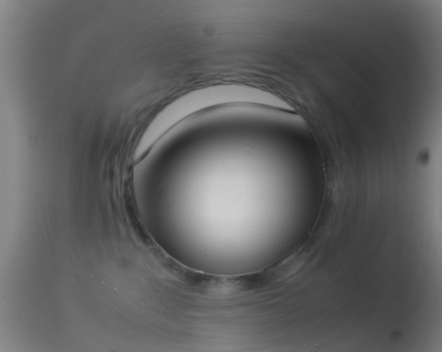 X0000114170235200910151644