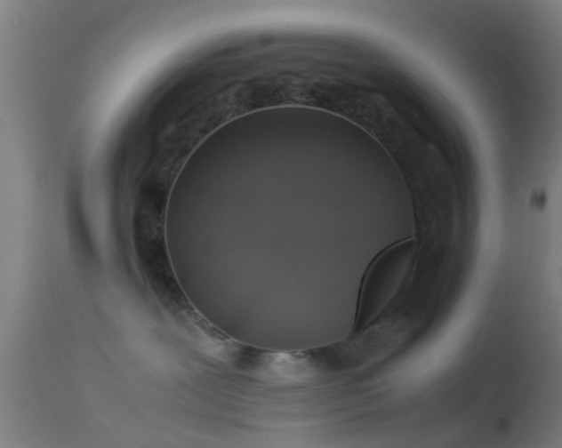 X0000114170239200910151644