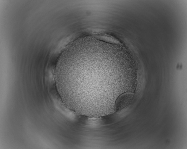 X0000114170240200910151644