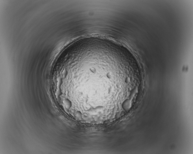 X0000114170241200910151643