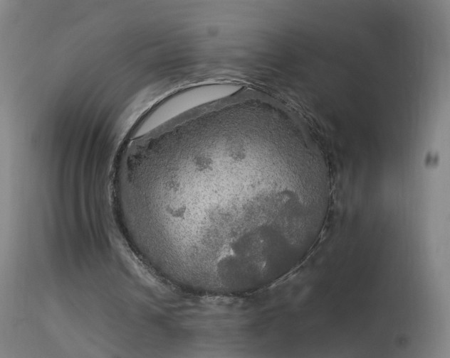 X0000114170242200910151643