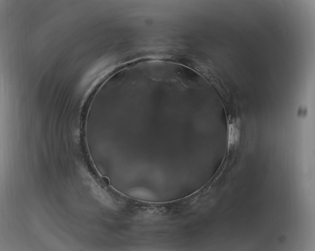 X0000114170243200910151643