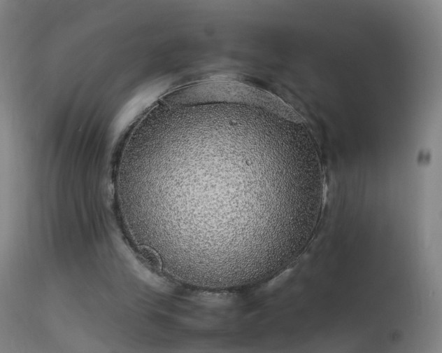 X0000114170245200910151643