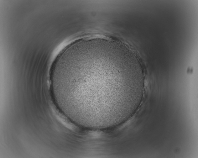 X0000114170246200910151643