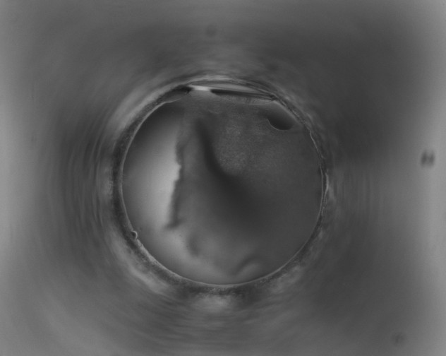 X0000114170247200910151643