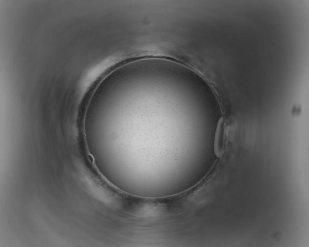 X0000114170248200910151643