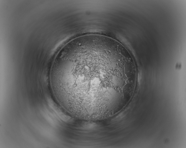 X0000114170249200910151643