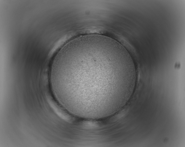 X0000114170250200910151643