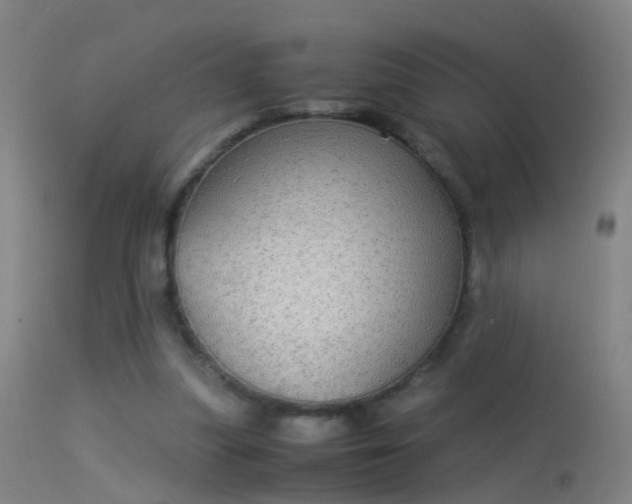 X0000114170251200910151643