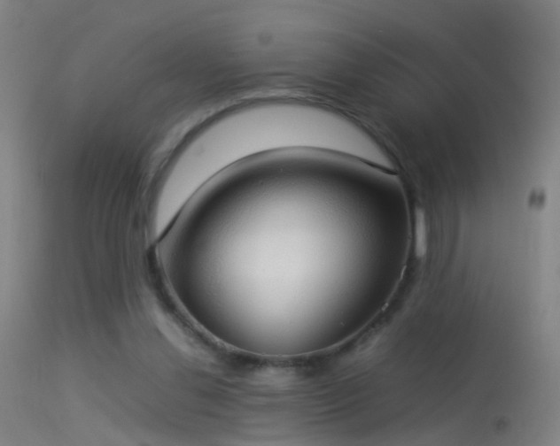 X0000114170252200910151643