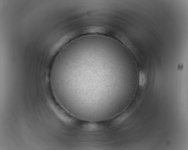 X0000114170253200910151643