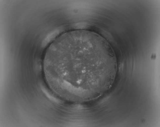 X0000114170254200910151643