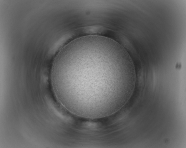 X0000114170255200910151643