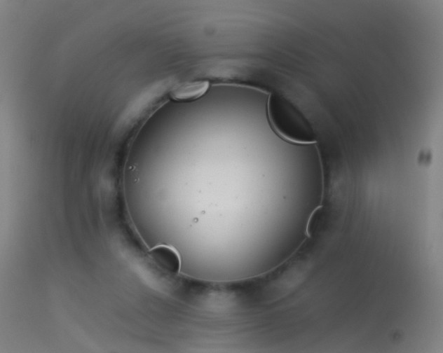 X0000114170256200910151643