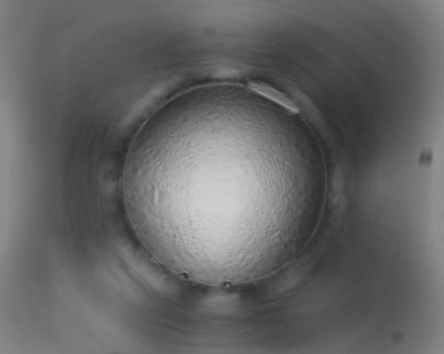 X0000114170257200910151643