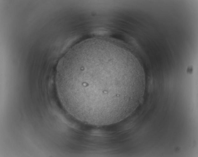 X0000114170259200910151643