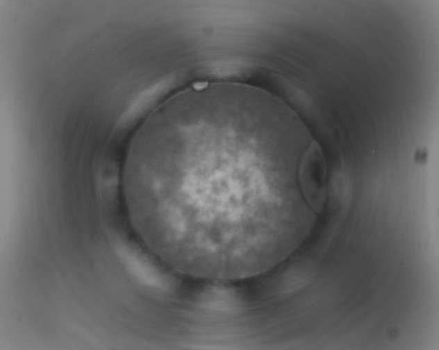 X0000114170260200910151643