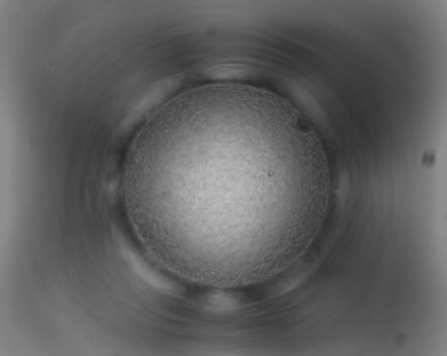 X0000114170261200910151643