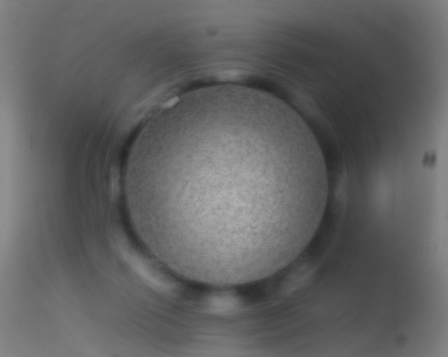 X0000114170262200910151643