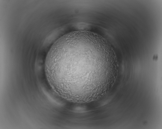 X0000114170263200910151643