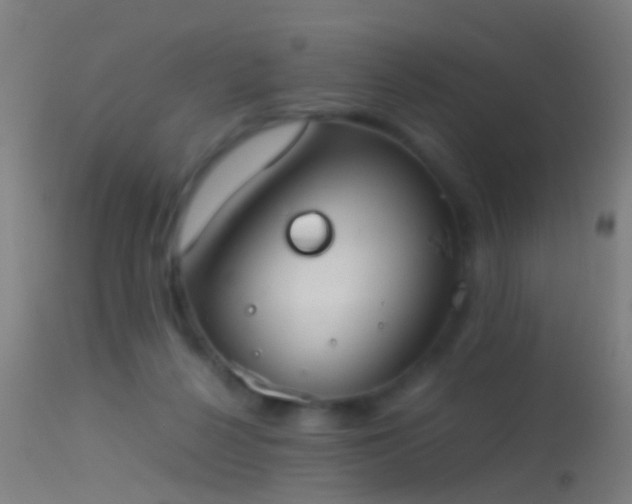 X0000114170264200910151643