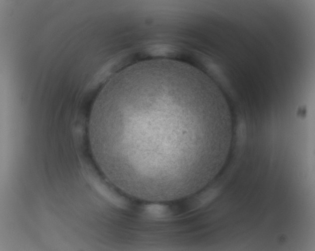 X0000114170265200910151643