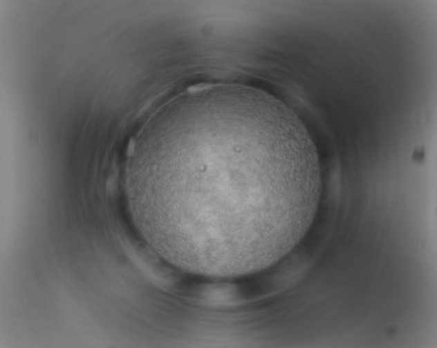 X0000114170266200910151643