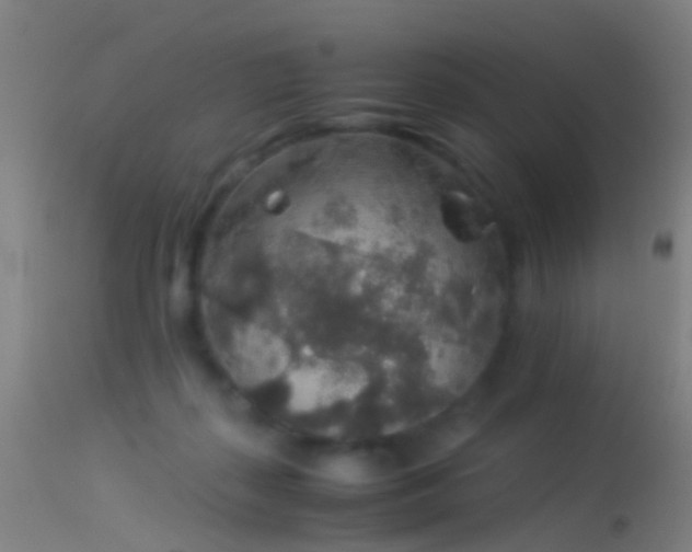 X0000114170267200910151643