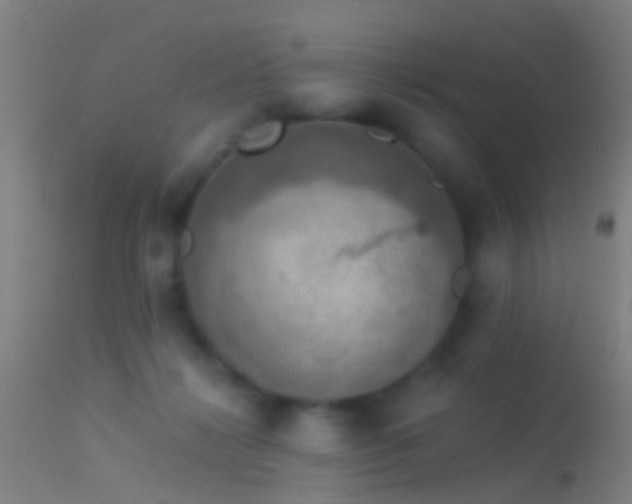 X0000114170268200910151643