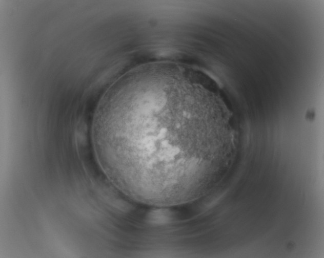 X0000114170269200910151643