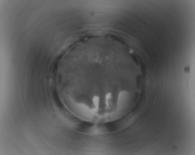 X0000114170270200910151643