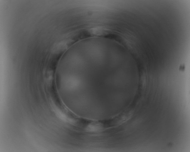 X0000114170271200910151643