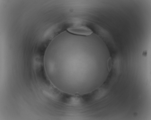 X0000114170272200910151643