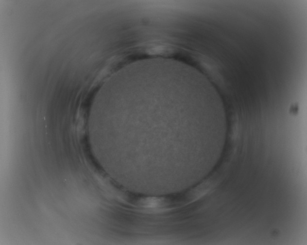 X0000114170273200910151643