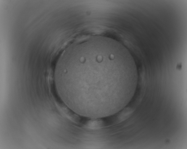 X0000114170274200910151644