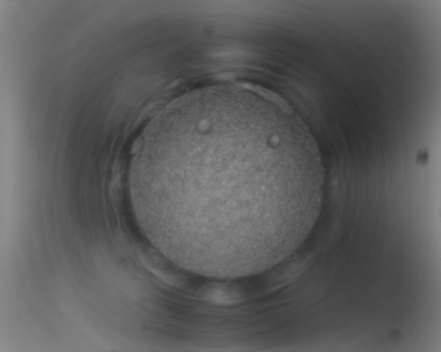 X0000114170275200910151644