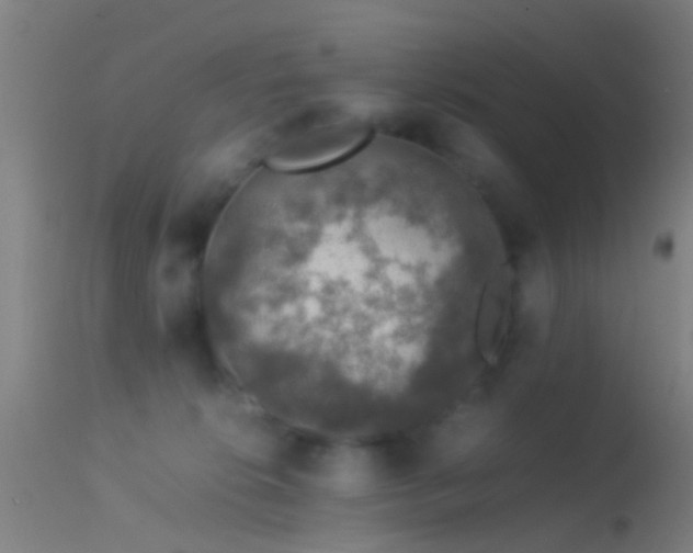 X0000114170276200910151644