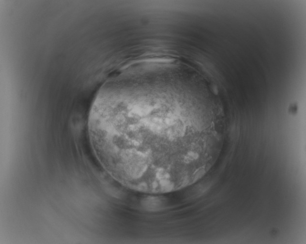 X0000114170277200910151644