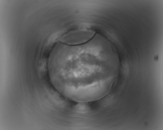 X0000114170280200910151644