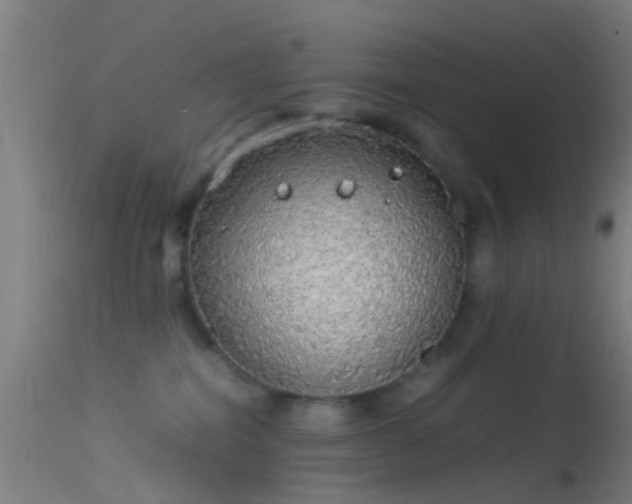 X0000114170282200910151644