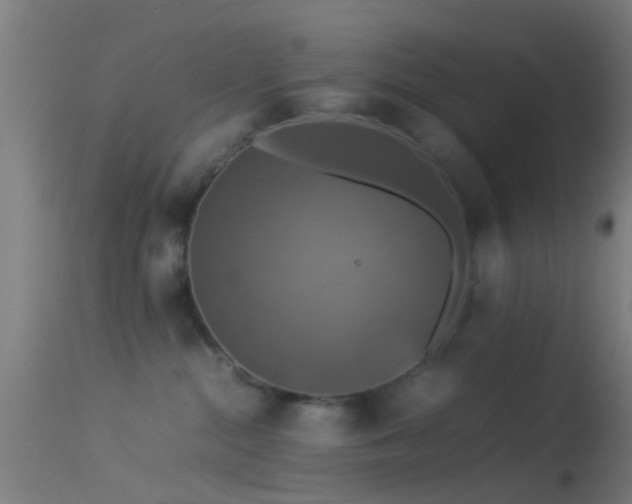 X0000114170284200910151644