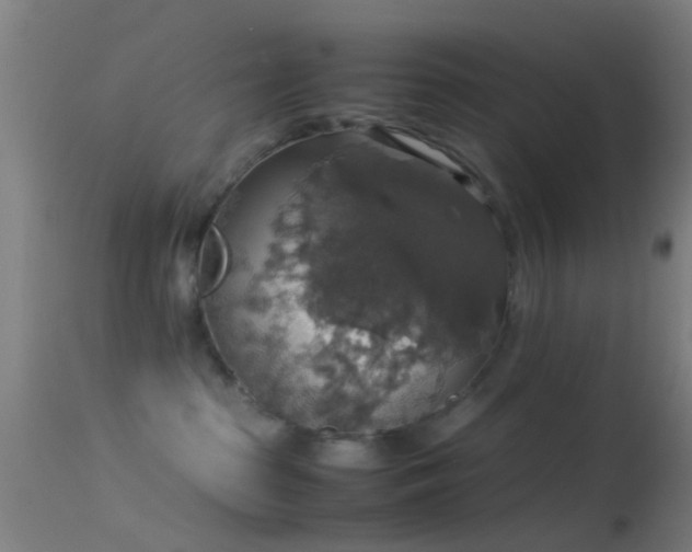 X0000114170285200910151644